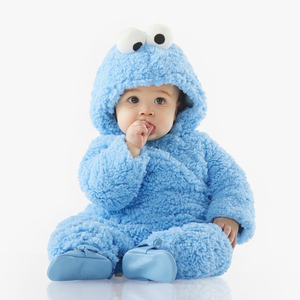 Pottery Barn Cookie Monster Costume